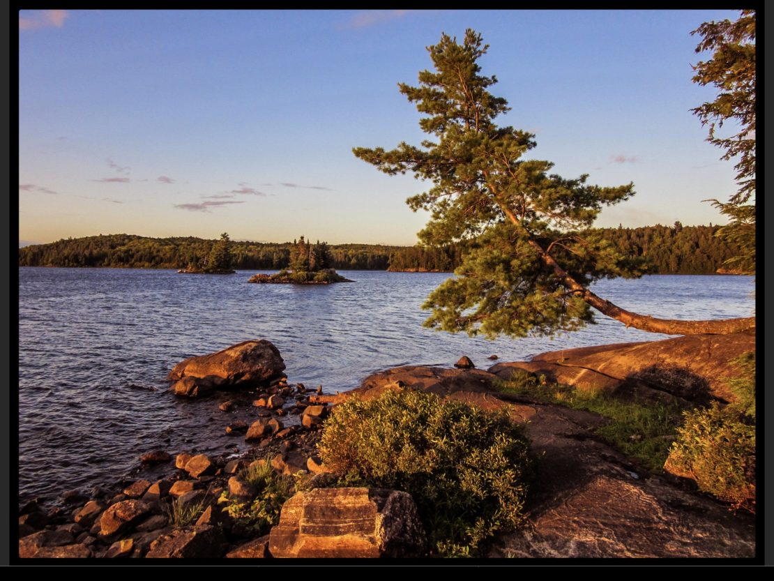A landscape photo of a lake and trees