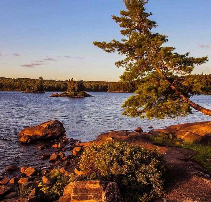 Reduce stress with this community-created art gallery